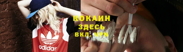 шишки Абдулино