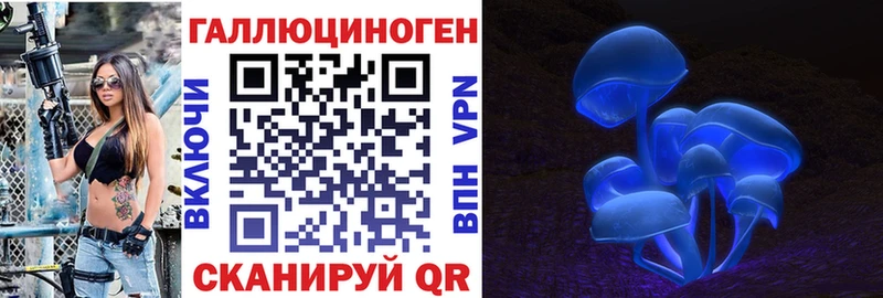 Псилоцибиновые грибы Cubensis  Иваново 